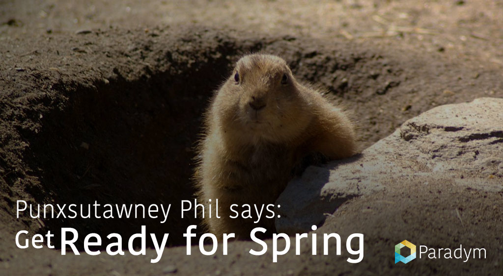 Punxsutawney Phil Says Spring is on Its Way | Paradym
