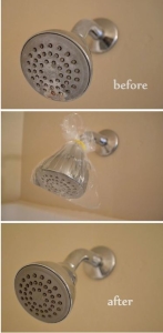 shower_head_clean